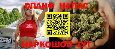 сатива Бийск