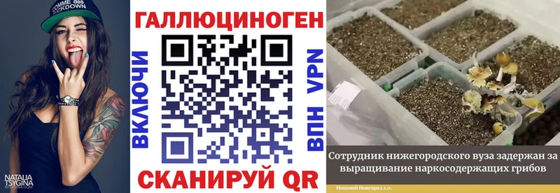 Псилоцибиновые грибы Psilocybine cubensis  Волжск 