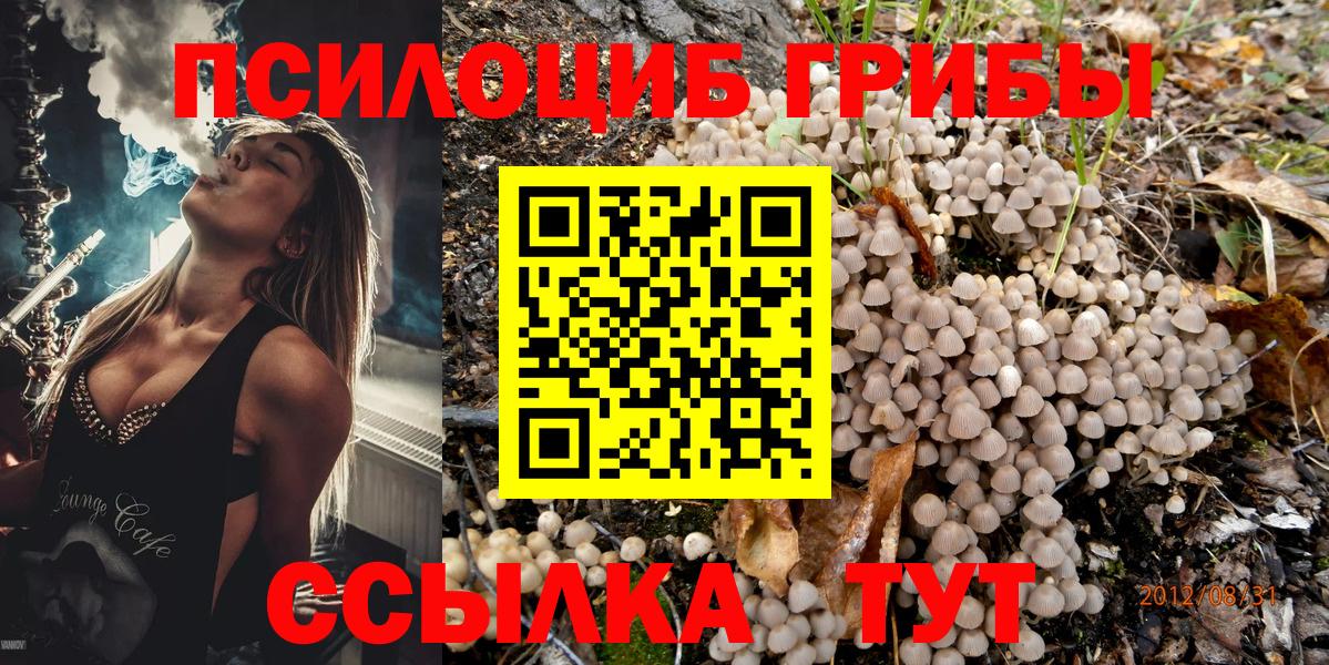 Галлюциногенные грибы мицелий Волжск