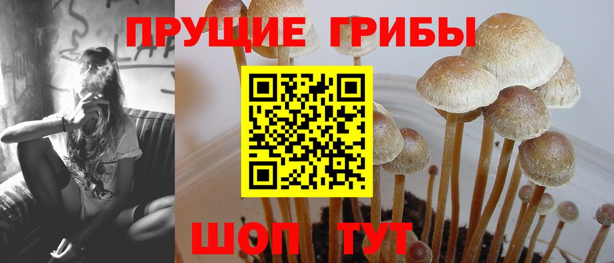 Галлюциногенные грибы мухоморы  купить   Волжск  Вход с VPN 